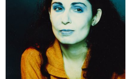 Expoziție Eszter Ágnes Szabó „Căsuta noastră” @ Galeria Új Kriterion, Miercurea Ciuc
