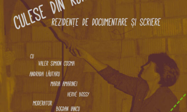 CONFERINȚELE DE LA ȘOSEA – Culese din rural. Rezidențe de documentare și scriere @ Muzeul Național al Țăranului Român