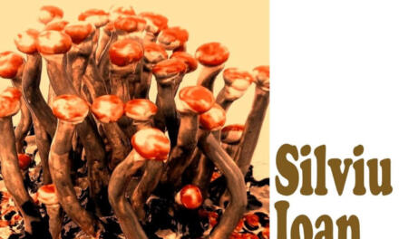 Expoziție de ceramică Silviu Ioan Soare „Coralis” la Galeria „Metopa” din Pitești