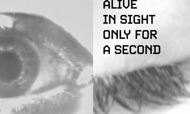 Expoziție de grup „Alive in Sight Only for a Second” @ Sector 1 Gallery, București