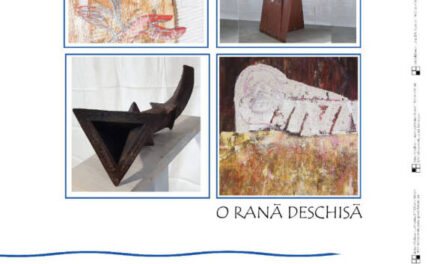 Expoziție Doina Mihailescu și Radu Feldiorean @ Muzeul de Artă Piatra-Neamț