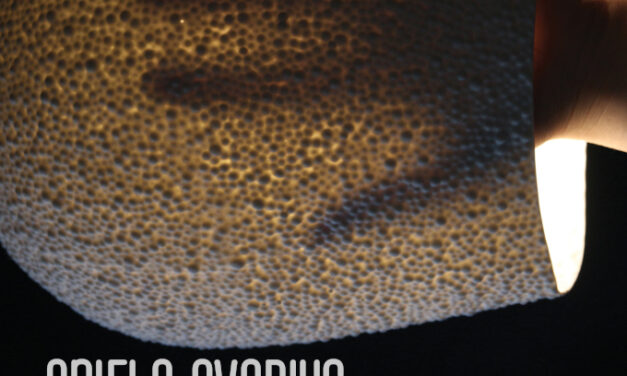 Expoziție personală Aniela Ovadiuc „Through the light / Prin lumină” @ PleshooContemporary, București