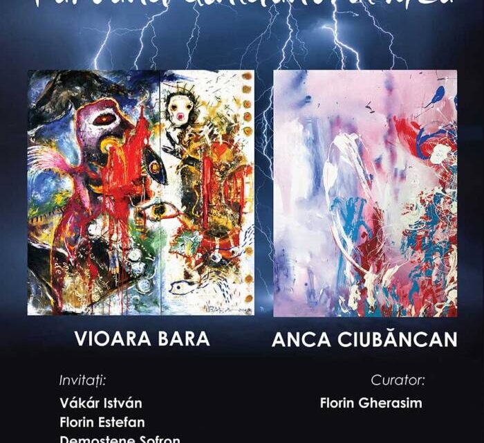 Expoziție Vioara Bara, Anca Ciubăncan „Furtuna dinlăuntrul meu” @ Muzeul de Artă Cluj-Napoca