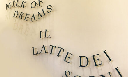 Scemtovici & Benowitz Gallery vă invită la prima întâlnire InsideArt, „Bienala de Artă de la Veneția, a 59-a ediție – Artiști români în context internațional”