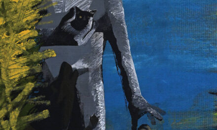 Expoziţie Alexandru Rădvan „Când nu se întâmplă nimic” @ Fundaţia Culturală Ilfoveanu & Badea