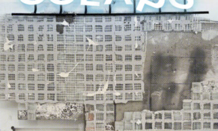 Expoziție Liviu Bulea „Colaps” @ Diptych Art Space, București