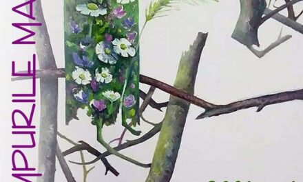 Expoziție Mihai Șerbănescu “Anotimpurile materiei” @ Muzeul de Artă din Ploiești