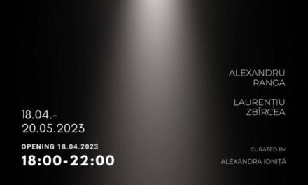 Expoziție Alexandru Ranga si Laurențiu Zbîrcea „Noiz” @ Galeria IOMO, București