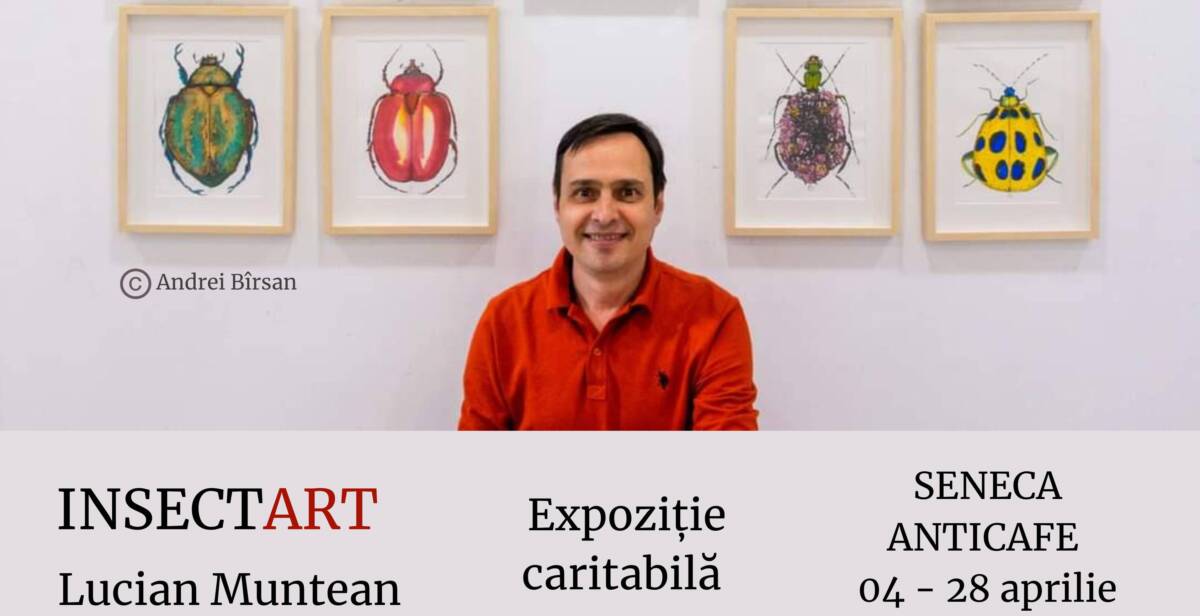 INSECTART – Lucian Muntean – SENECA ANTICAFE