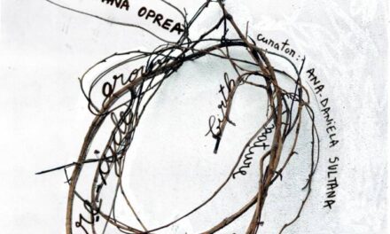 RECONCILIERE – expoziție personală Maia Ștefana Oprea, la Galeria CREART, București