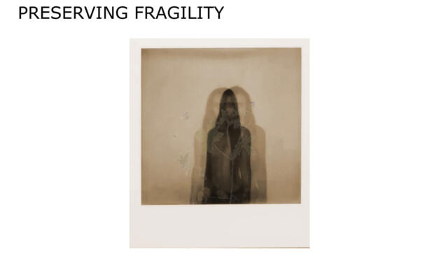 Expoziție Diana Baltag „Preserving Fragility” @ Pogo Gallery, București