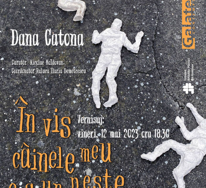 Expoziție Dana Catona „În vis câinele meu era un pește” @ Galeria Galateea Contemporary Art