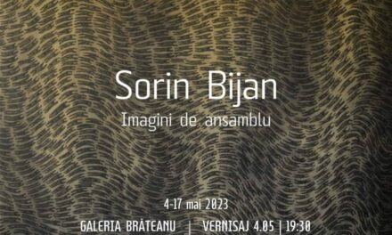 Expoziție Sorin Bijan “Imagini de ansamblu” @ Galeria Brăteanu din Timișoara