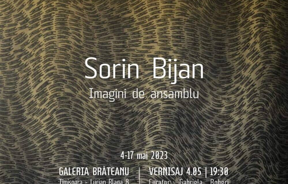 Expoziție Sorin Bijan “Imagini de ansamblu” @ Galeria Brăteanu din Timișoara