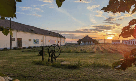 2023 Summer Exhibition „Provocările materialității. Vizualitate și experiment în arta contemporană. 16 portrete” @ Cetate Arts Danube 