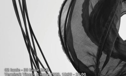 Expoziție Alina Aldea „Stare: Inside Out” @ Casa Filipescu-Cesianu – Muzeul Vârstelor