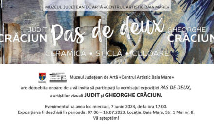Expoziție Judit și Gheorghe Crăciun, „Pas de Deux” @ Muzeul Județean de Artă «Centrul Artistic Baia Mare»