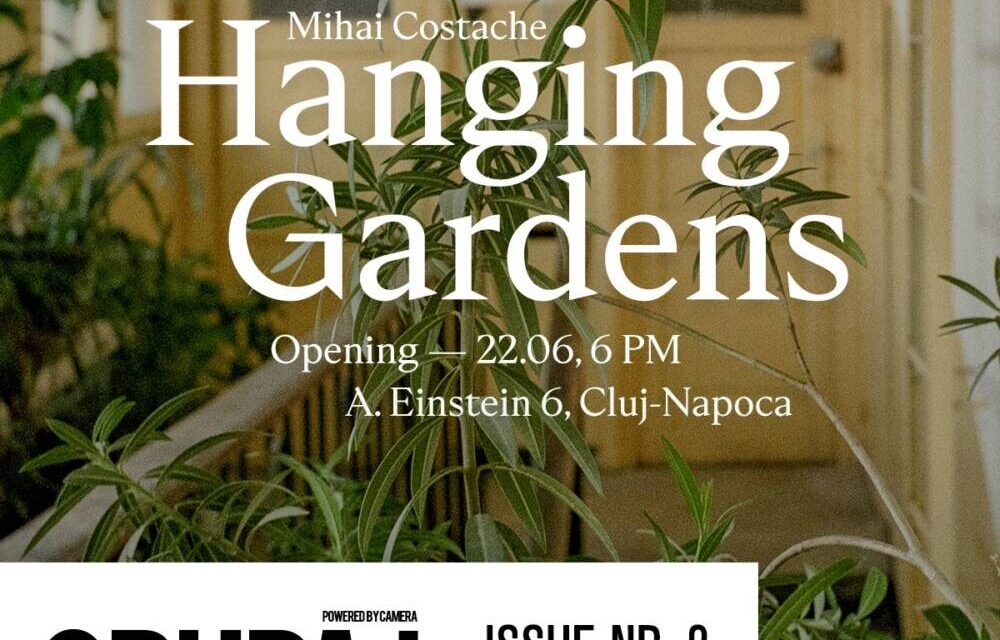 Galeria Camera, lansare revistă și expoziție Mihai Costache, „Hanging Gardens”