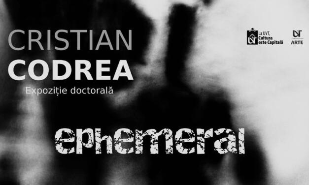 „Ephemeral”, expoziţie doctorală Cristian Codrea, la Galeria de Artă UAP, Baia Mare