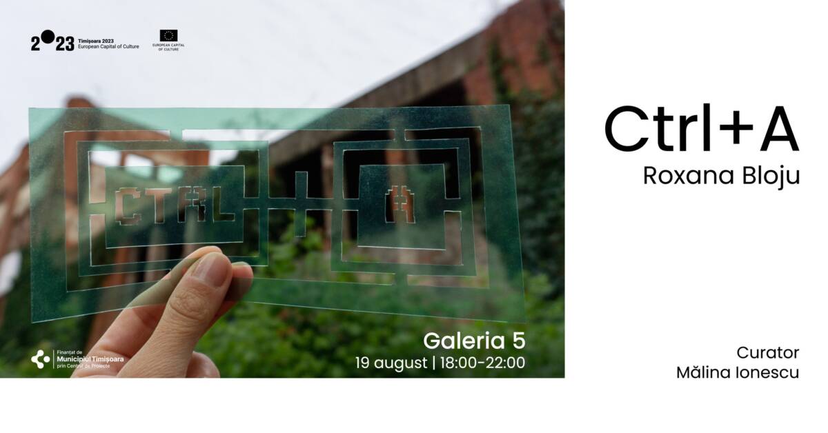 Expoziție Roxana Bloju „Ctrl+A” @ Galeria 5, Timișoara