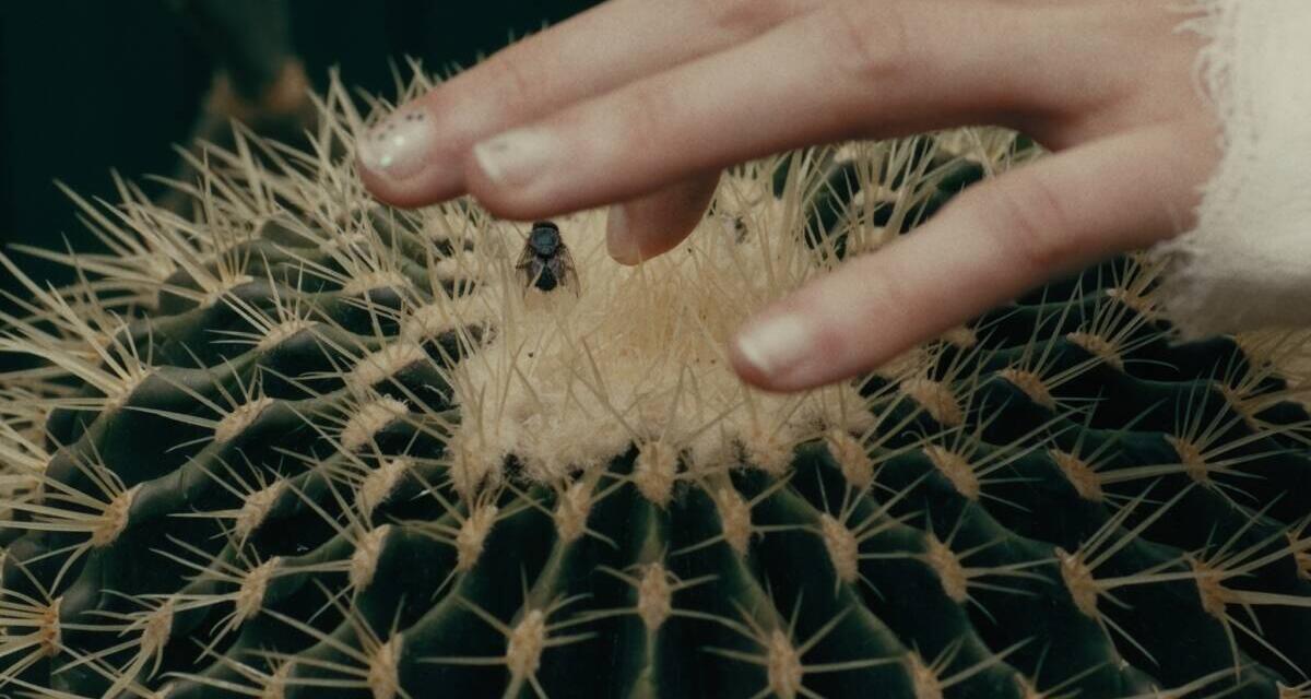 Competiția Națională BIEFF.13 și o retrospectivă dedicată filmului experimental românesc din ultima jumătate de secol