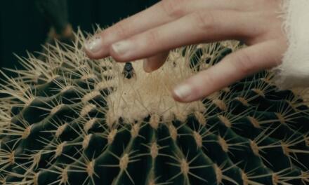 Competiția Națională BIEFF.13 și o retrospectivă dedicată filmului experimental românesc din ultima jumătate de secol