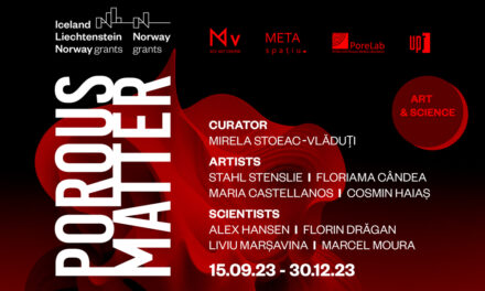 Expoziția POROUS MATTER. Void Fractions in Materials, Ideas, and Society @ META Spațiu, Timișoara