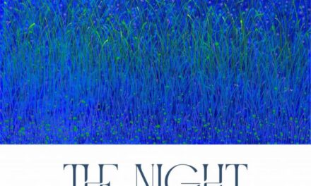 Expoziție de pictură Andreea Pricop „THE NIGHT” @ Galeria de Artă „Octav Băncilă”, Iași