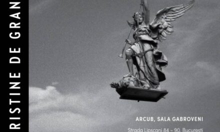 „Performing Austria” la Festivalul Național de Teatru #33