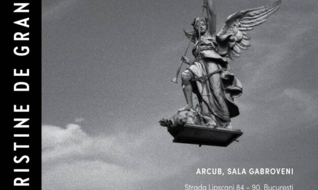 „Performing Austria” la Festivalul Național de Teatru #33