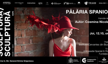Expoziție de design Cosmina Nicolescu „Pălăria spaniolă” @ Cazarma U, Timișoara
