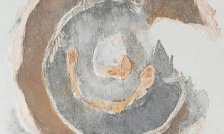 Expoziție de pictură Doinița Venera Dincă „Structuri” la Muzeul „Ion Jalea” din Constanța