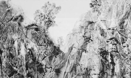 Expoziție Roland Pangrati „Rocks” @ Galeria Floraison, Tokyo