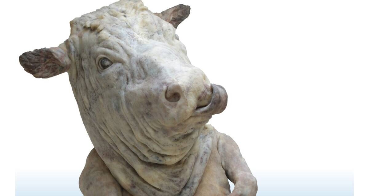 Expoziție Virgilius Moldovan “Exces” @ Centrul Cultural Apollonia, Brașov