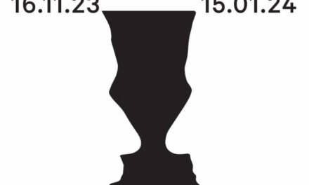 Expoziția Vaza lui Rubin. Neamțu/Comșa @ ARSMONITOR, București