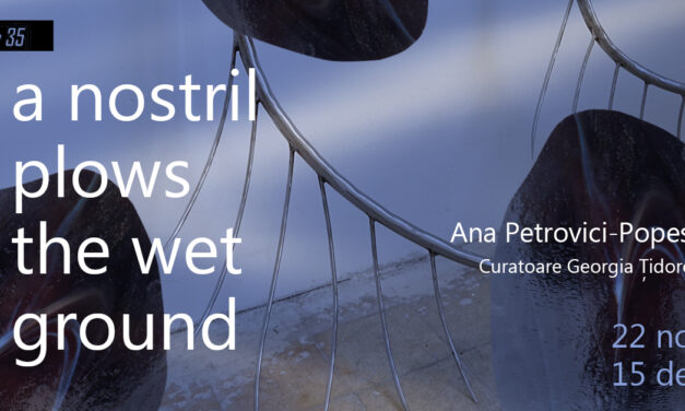 Expoziție Ana Petrovici-Popescu „A Nostril Plows The Wet Ground” @ Atelier 35, București