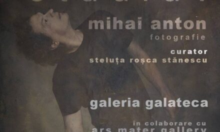 Expoziție Mihai Vladimir Anton „Studiu?” @ Galeria Galateca, București