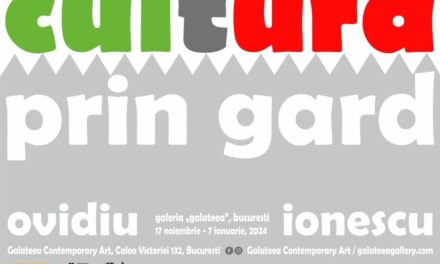 Expoziție Ovidiu Ionescu “Cultura prin gard” @ Galeria Galeteea Contemporary Art