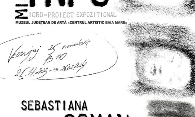Expoziție Sebastiana Coman „Info” @ Muzeul Județean de Artă «Centrul Artistic Baia Mare»