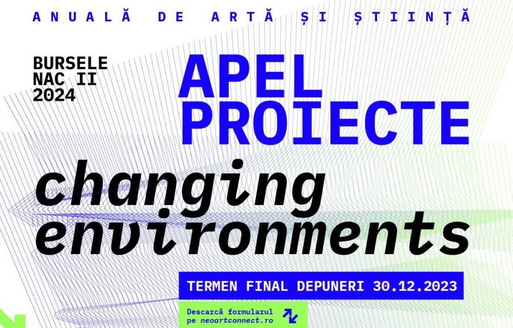 S-a lansat noul Apel de proiecte pentru Bursele NAC, Neo Art Connect – ediția a II-a, 2024