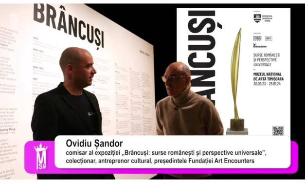 Timișoara 2023: „Brâncuși văzut de …” Ovidiu Șandor