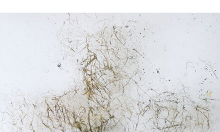 Expoziție Andrei Rosetti, alături de invitatul său Constantin Flondor: „Chip și fel” @ Galleria 28 din Timișoara