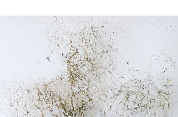 Expoziție Andrei Rosetti, alături de invitatul său Constantin Flondor: „Chip și fel” @ Galleria 28 din Timișoara