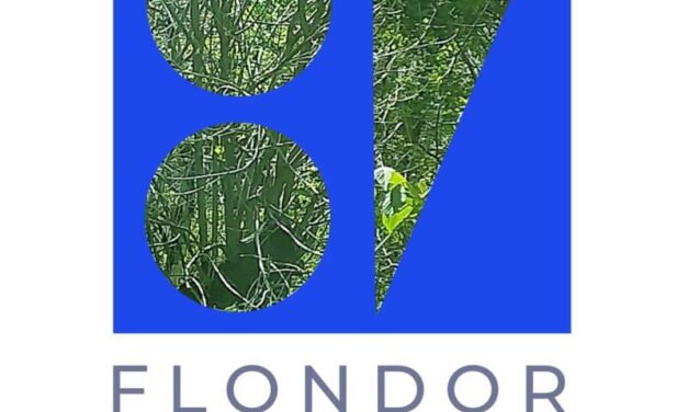 Expoziție Constantin Flondor „În ghicitură” @ Jecza Gallery, Timișoara