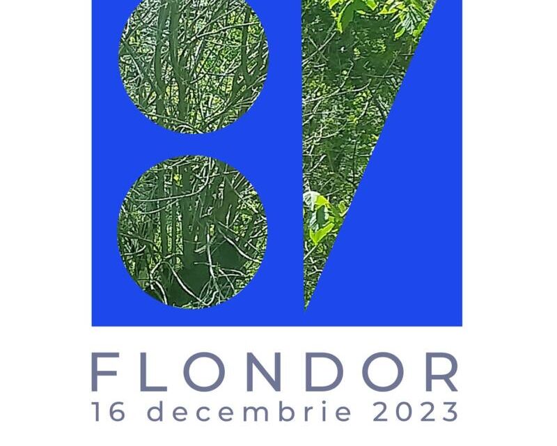 Expoziție Constantin Flondor „În ghicitură” @ Jecza Gallery, Timișoara