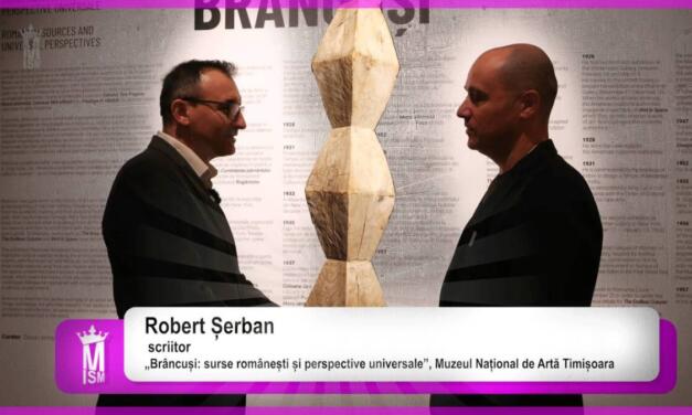 Timișoara 2023: „Brâncuși văzut de …” Robert Șerban