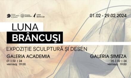 Expoziție de sculptură si desen „Luna Brâncuși” @ Galeria Academia si Galeria Simeza, București