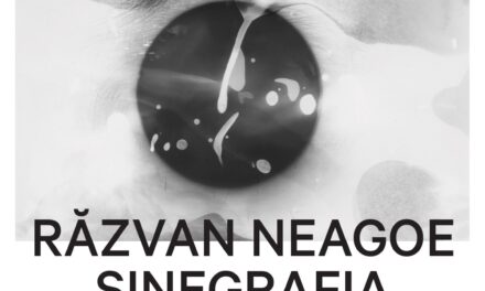 Expoziție Răzvan Neagoe „Sinegrafia” @ Arsmonitor, București