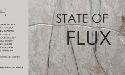 Expoziția „State of Flux” @ Biju Gallery, Cluj-Napoca