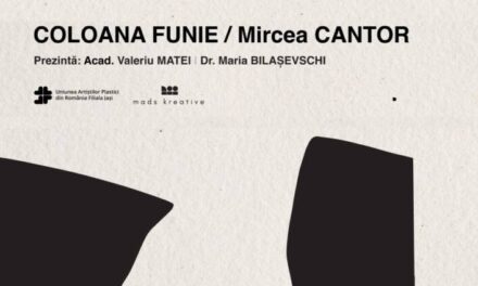 Expoziție Mircea Cantor „Coloana funie” @ Muzeul de Artă Iași, Palatul Culturii din Iași – Complexul Muzeal Național „Moldova”